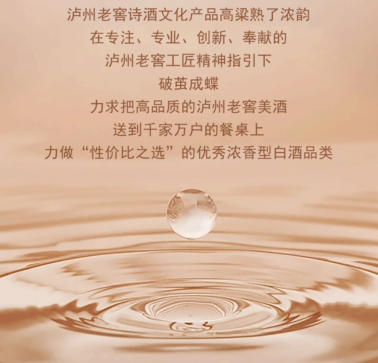 6.png